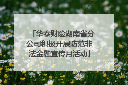 华泰财险湖南省分公司积极开展防范非法金融宣传月活动