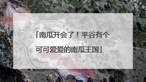 南瓜开会了！平谷有个可可爱爱的南瓜王国