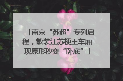 南京“苏超”专列启程，散装江苏梗王车厢现原形秒变“卧底”
