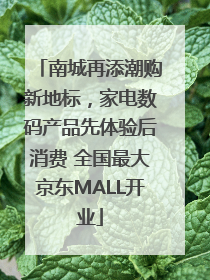 南城再添潮购新地标，家电数码产品先体验后消费 全国最大京东MALL开业