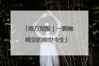 南方觉醒｜一颗咖啡豆的前世今生