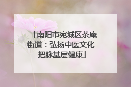 南阳市宛城区茶庵街道：弘扬中医文化 把脉基层健康