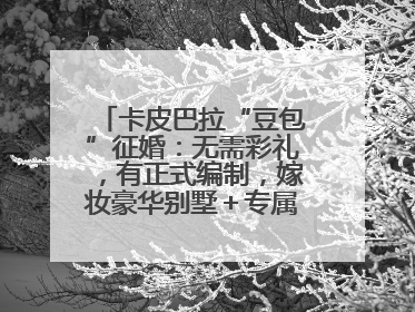 卡皮巴拉“豆包”征婚：无需彩礼，有正式编制，嫁妆豪华别墅＋专属泳池！