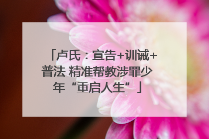 卢氏：宣告+训诫+普法 精准帮教涉罪少年“重启人生”