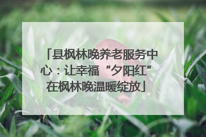 县枫林晚养老服务中心：让幸福“夕阳红”在枫林晚温暖绽放