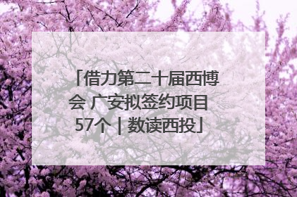 借力第二十届西博会 广安拟签约项目57个｜数读西投