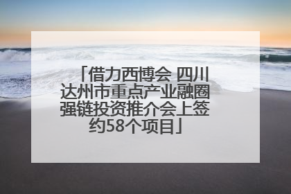 借力西博会 四川达州市重点产业融圈强链投资推介会上签约58个项目