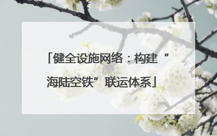 健全设施网络：构建“海陆空铁”联运体系