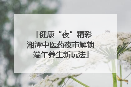健康“夜”精彩 湘潭中医药夜市解锁端午养生新玩法
