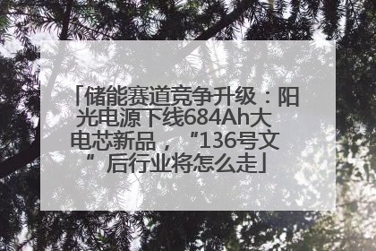 储能赛道竞争升级：阳光电源下线684Ah大电芯新品，“136号文”后行业将怎么走