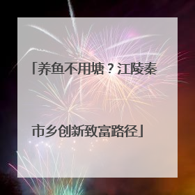 养鱼不用塘？江陵秦市乡创新致富路径
