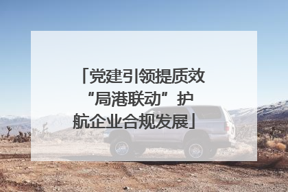 党建引领提质效 “局港联动”护航企业合规发展