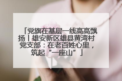 党旗在基层一线高高飘扬丨雄安新区雄县黄湾村党支部：在老百姓心里，筑起“一座山”