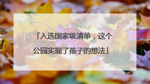 入选国家级清单，这个公园实现了孩子的想法