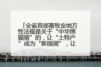 全省首部畜牧业地方性法规是关于“中华熊猫猪”的，让“土特产”成为“新国潮”，让“农产品”升格为“城市IP”