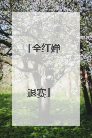 全红婵退赛