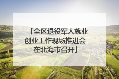 全区退役军人就业创业工作现场推进会在北海市召开