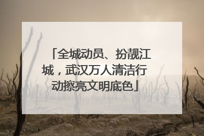 全城动员、扮靓江城，武汉万人清洁行动擦亮文明底色