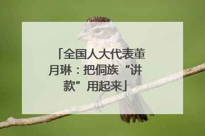 全国人大代表董月琳：把侗族“讲款”用起来
