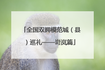 全国双拥模范城（县）巡礼——岢岚篇