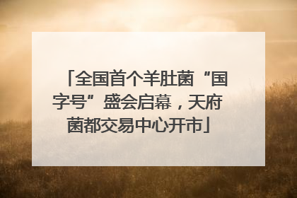全国首个羊肚菌“国字号”盛会启幕，天府菌都交易中心开市