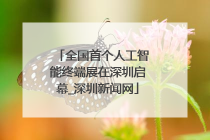 全国首个人工智能终端展在深圳启幕_深圳新闻网
