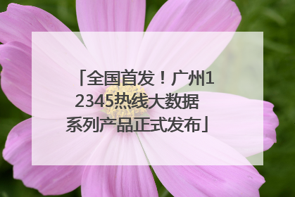 全国首发！广州12345热线大数据系列产品正式发布