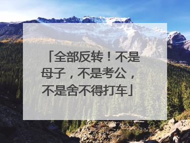 全部反转！不是母子，不是考公，不是舍不得打车