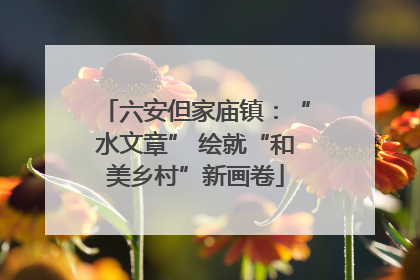六安但家庙镇：“水文章” 绘就“和美乡村”新画卷