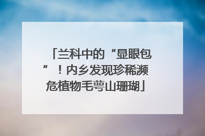 兰科中的“显眼包”！内乡发现珍稀濒危植物毛萼山珊瑚