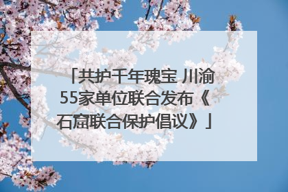 共护千年瑰宝 川渝55家单位联合发布《石窟联合保护倡议》