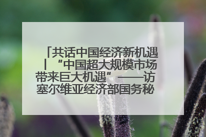 共话中国经济新机遇丨“中国超大规模市场带来巨大机遇”——访塞尔维亚经济部国务秘书尼科利奇