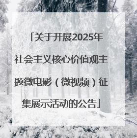 关于开展2025年社会主义核心价值观主题微电影（微视频）征集展示活动的公告