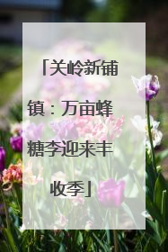 关岭新铺镇：万亩蜂糖李迎来丰收季