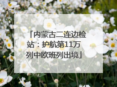 内蒙古二连边检站：护航第11万列中欧班列出境