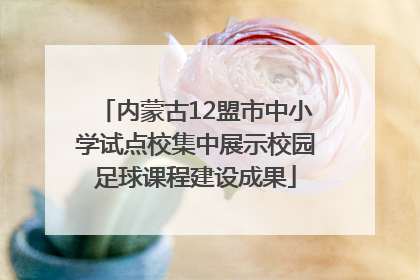 内蒙古12盟市中小学试点校集中展示校园足球课程建设成果