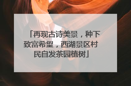 再现古诗美景，种下致富希望，西湖景区村民自发茶园植树