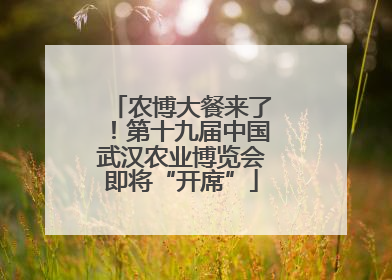 农博大餐来了！第十九届中国武汉农业博览会即将“开席”