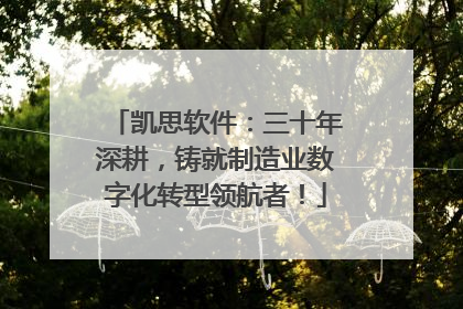 凯思软件：三十年深耕，铸就制造业数字化转型领航者！