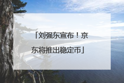 刘强东宣布！京东将推出稳定币