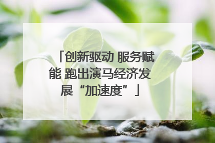 创新驱动 服务赋能 跑出演马经济发展“加速度”