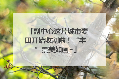 副中心这片城市麦田开始收割啦！“丰”景美如画~