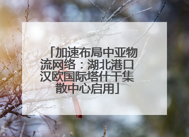 加速布局中亚物流网络：湖北港口汉欧国际塔什干集散中心启用