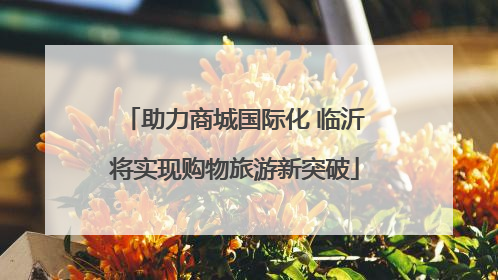 助力商城国际化 临沂将实现购物旅游新突破