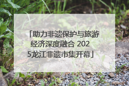 助力非遗保护与旅游经济深度融合 2025龙江非遗市集开幕