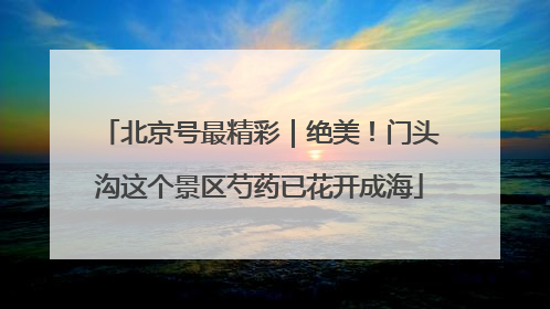 北京号最精彩｜绝美！门头沟这个景区芍药已花开成海