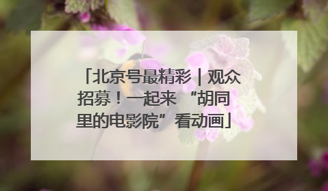 北京号最精彩｜观众招募！一起来 “胡同里的电影院”看动画