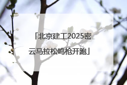 北京建工2025密云马拉松鸣枪开跑