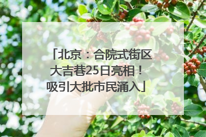 北京：合院式街区大吉巷25日亮相！吸引大批市民涌入