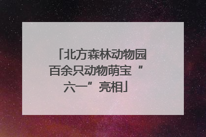 北方森林动物园百余只动物萌宝“六一”亮相